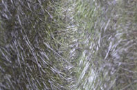 Humby fibreglass roof work